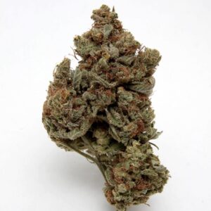 blueberry-kush-marijuana for sale