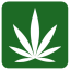 Leafy Marijuana Shop