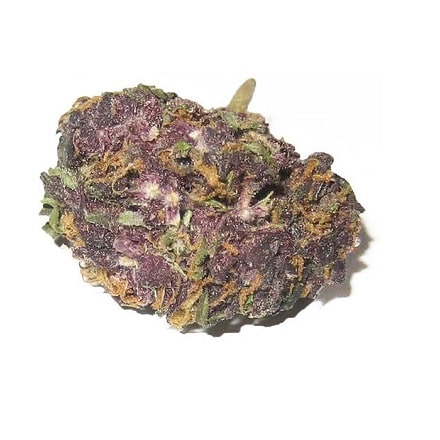 grand-daddy-purple-marijuana for sale