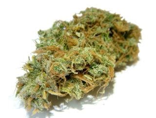jack-dream-marijuana for sale
