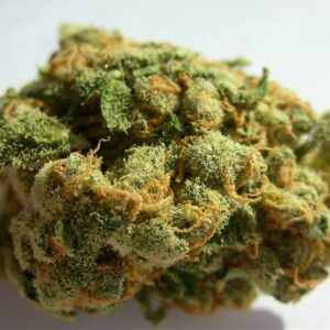 jack-herer-marijuana for sale