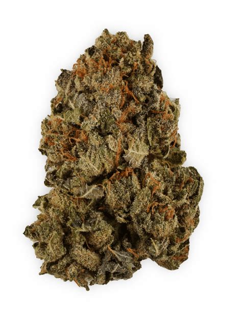 orange-kush-marijuana for sale