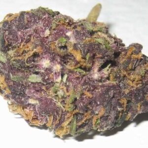 purple-skunk-marijuana for sale