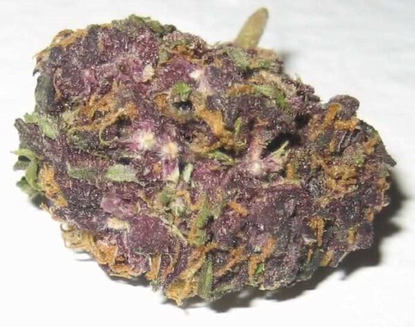purple-skunk-marijuana for sale
