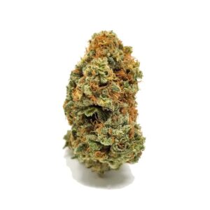 sour-diesel-marijuana for sale