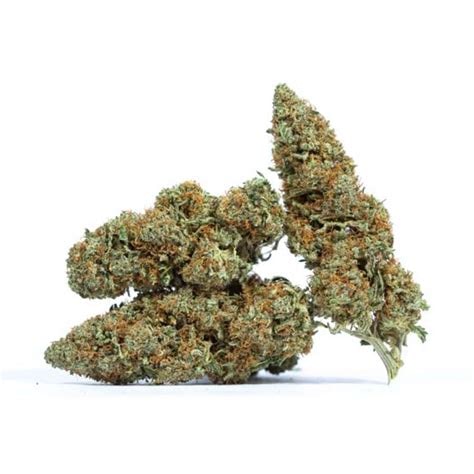 white-russia-marijuana for sale