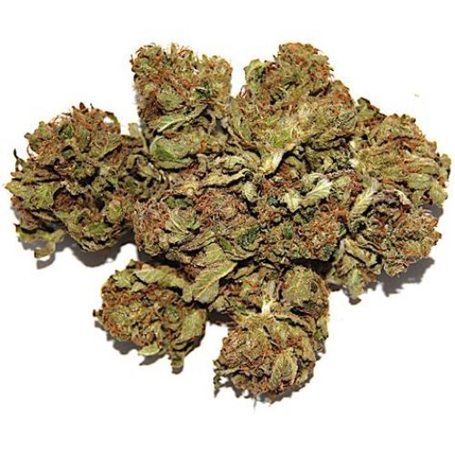 big-bud-marijuana for sale